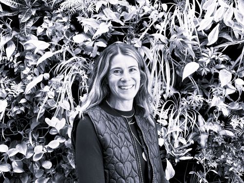 Lindy 2 web kris andersen head shot